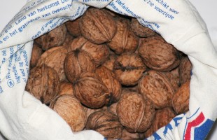 walnuts-975954_1280